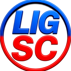 REDE LIG SC